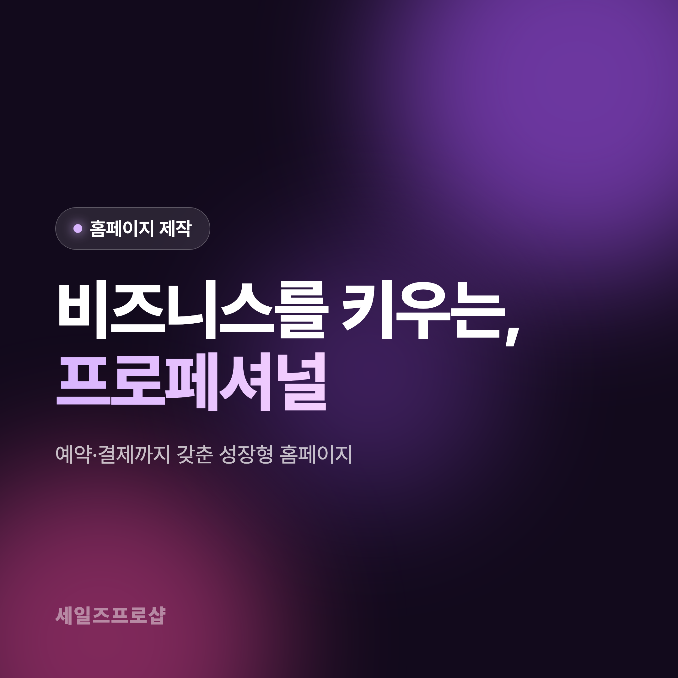 홈페이지 제작 · 프로페셔널