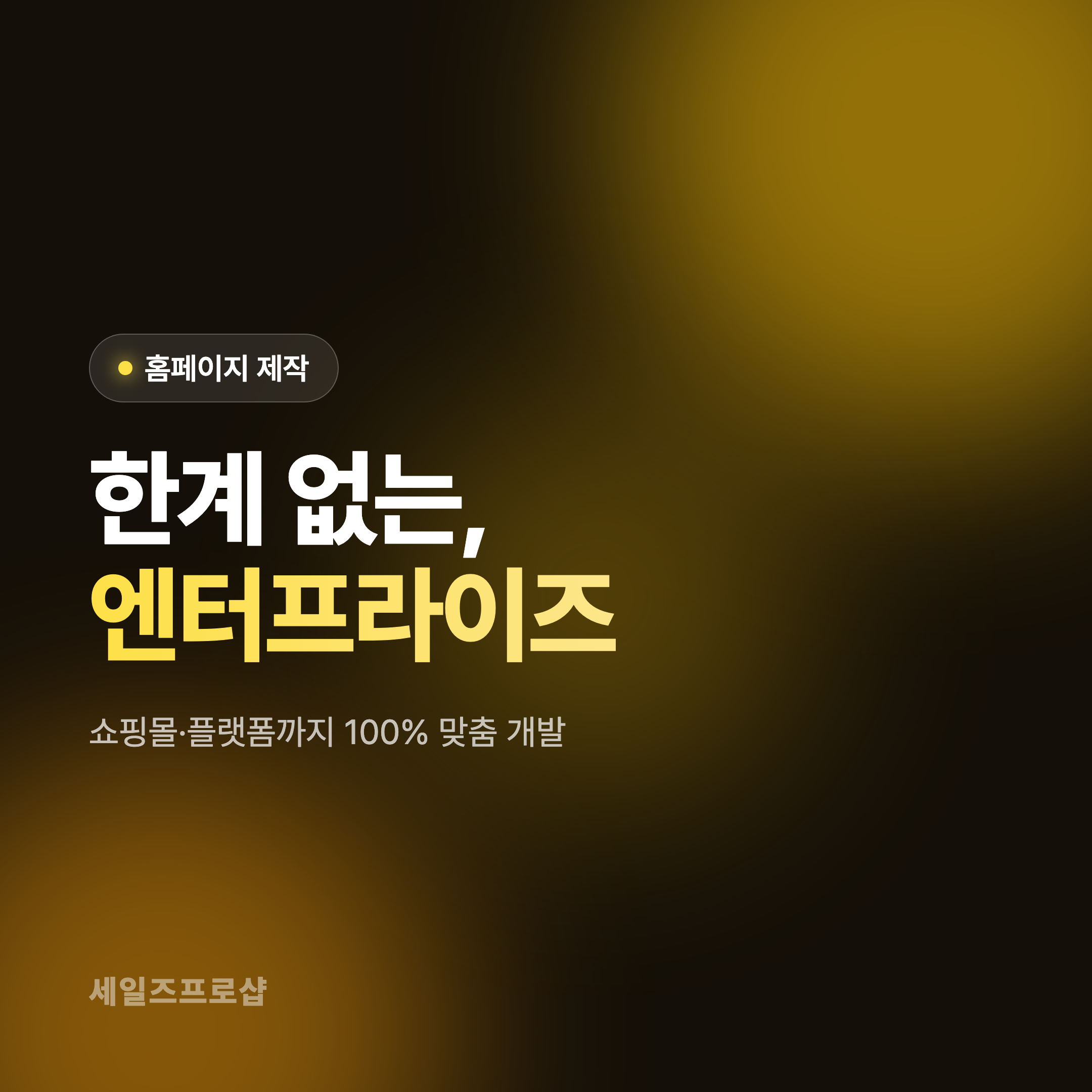 홈페이지 제작 · 엔터프라이즈